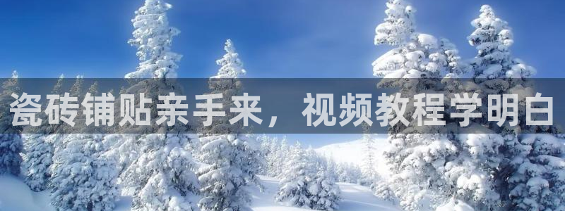 杏鑫平台平台娱乐