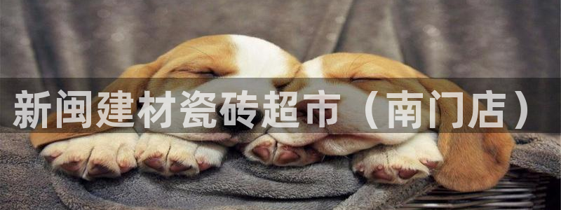 杏鑫娱乐多少年了