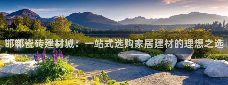 杏鑫官方平台怎么样啊