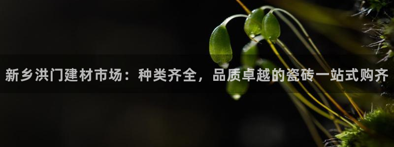 杏鑫娱乐测速