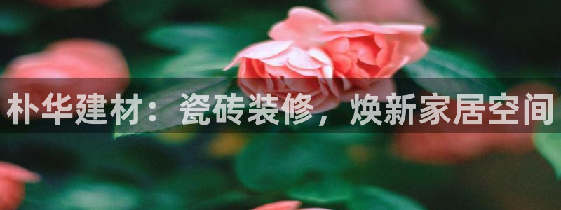 杏鑫平台测速怎么样