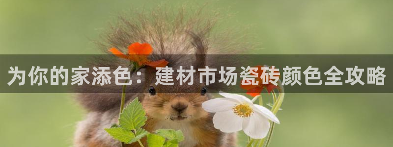 杏鑫平台代理怎么样赚钱