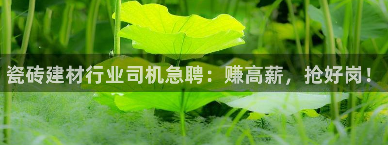 杏鑫手机客户端怎么下载