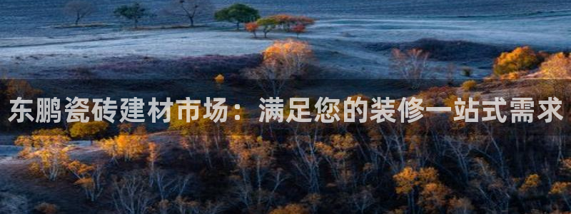 杏鑫平台招商电话是多少