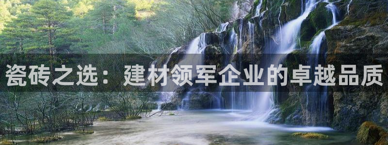 杏鑫官方平台怎么样啊