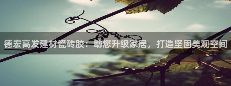 杏鑫平台平台娱乐