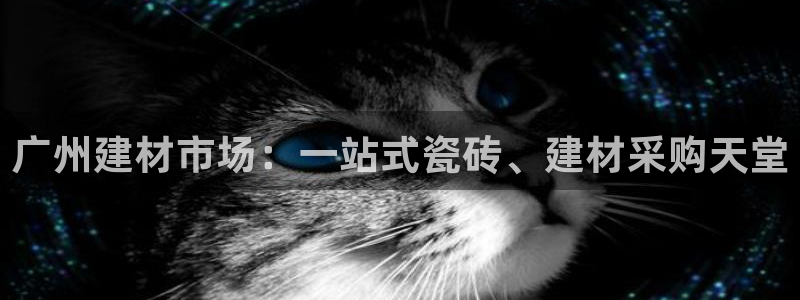 杏鑫官方app代理
