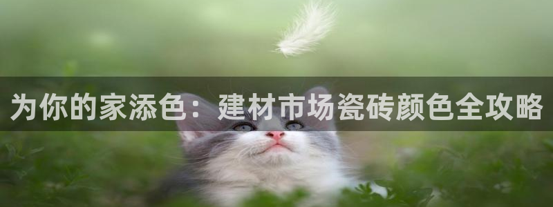 杏鑫平台注册地址
