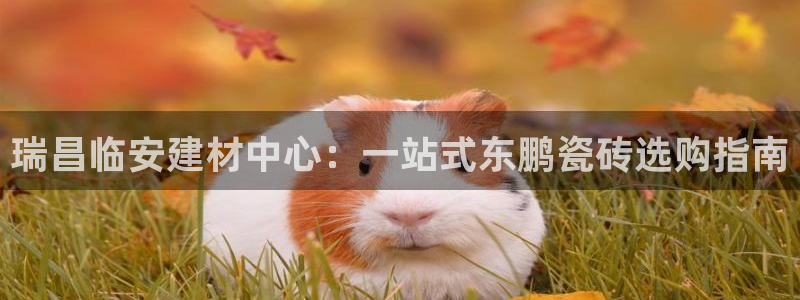 杏鑫平台代理注册要钱吗