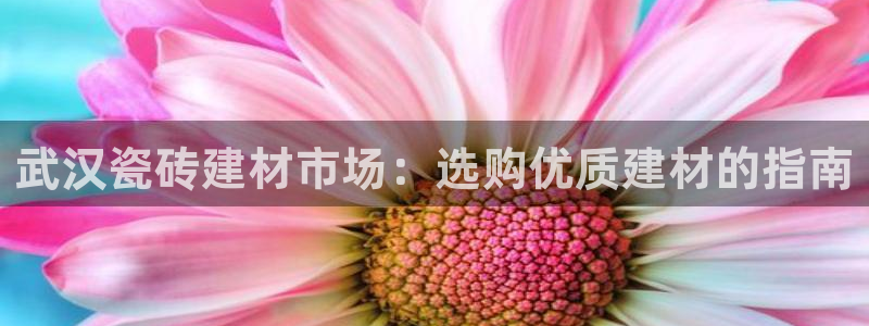 杏鑫平台是黑平台吗是真的吗