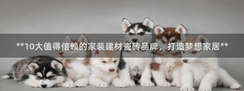 杏鑫官方平台怎么样啊知乎