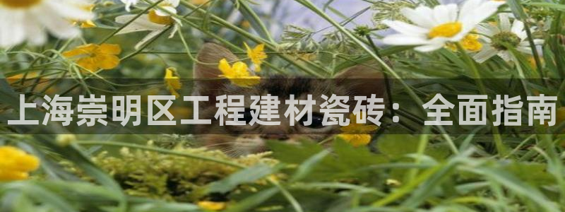 杏鑫注册地址