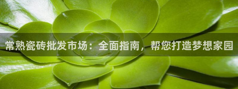 杏鑫注册登录地址