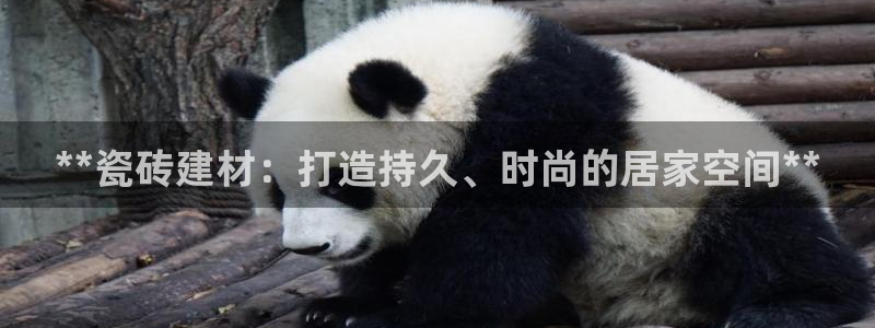 杏鑫平台代理注册流程视频