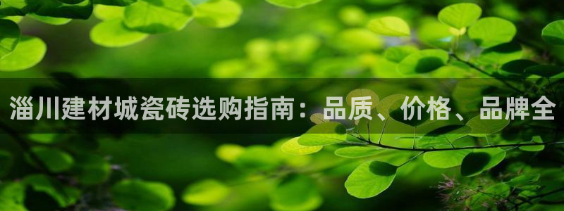 杏鑫平台登陆