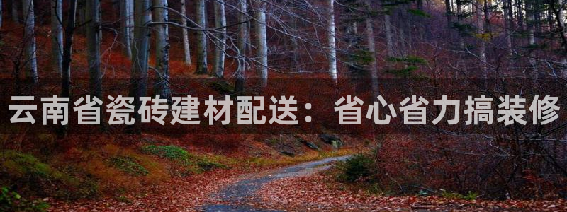 杏鑫平台代理注册流程