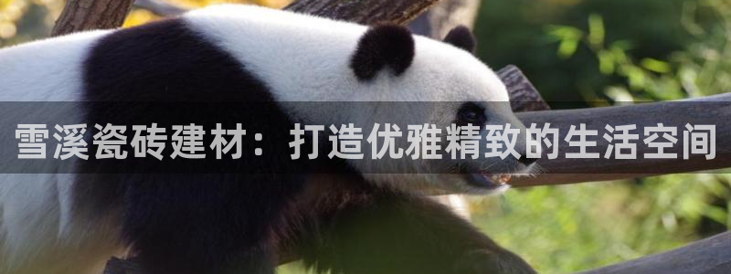 杏鑫娱乐平台