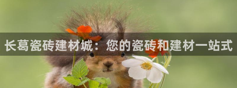 杏鑫官方平台怎么样啊