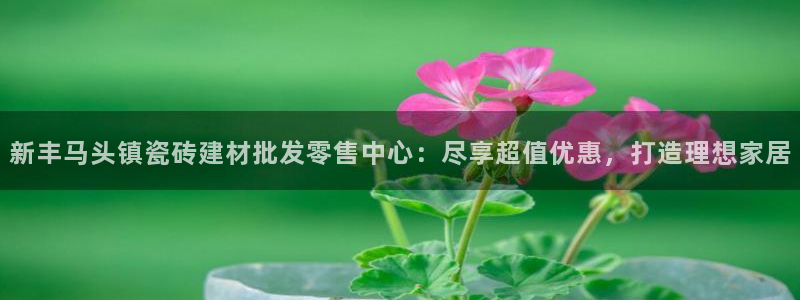 杏鑫平台在线注册流程