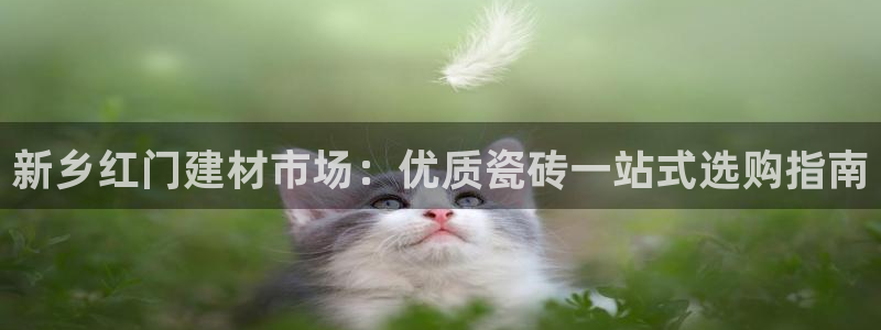 杏鑫平台直属哪个公司