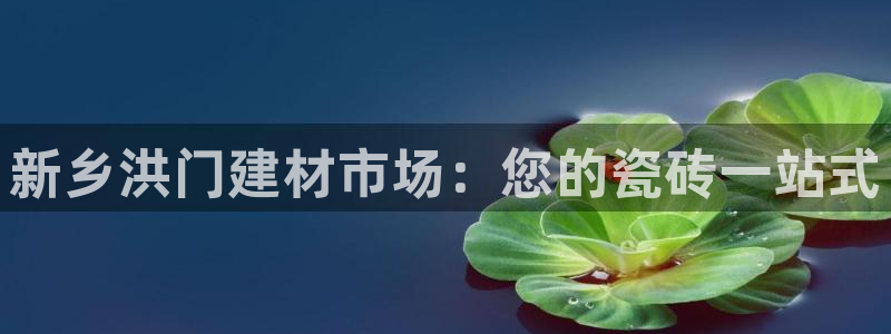 杏鑫平台代理注册登录不了怎么办呀