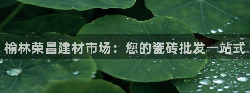 杏鑫官方平台怎么样啊可靠吗