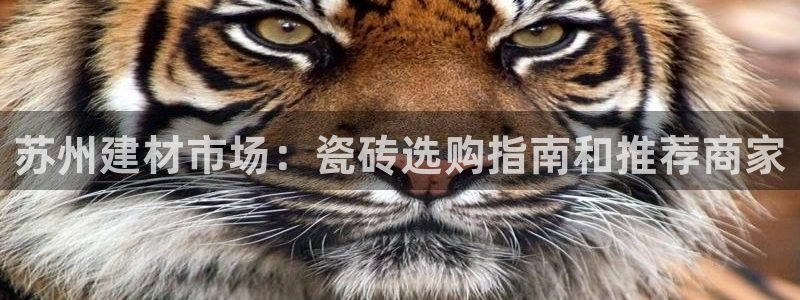 杏鑫娱乐官网下载