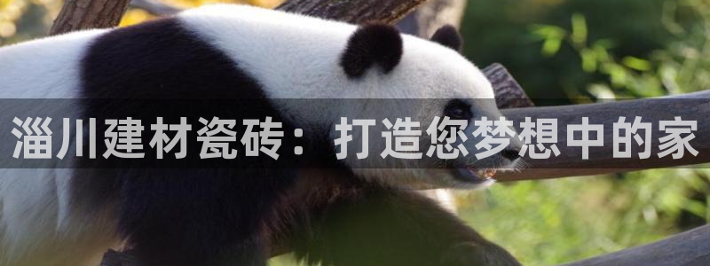 杏鑫平台直属