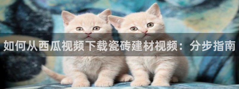 杏鑫官方平台怎么样啊