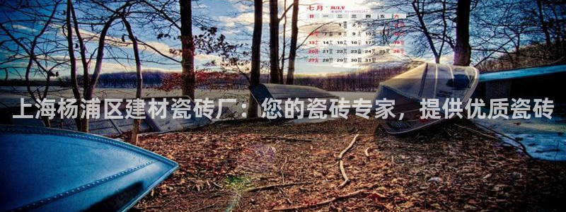 杏鑫平台怎么样黑钱吗安全吗是真的吗