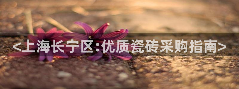 杏鑫平台招商电话是多少