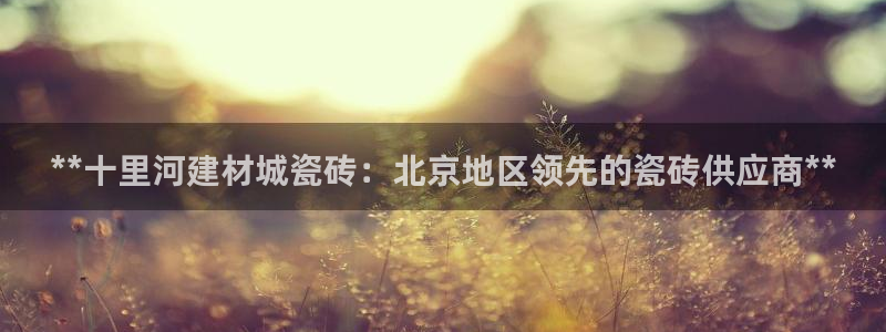 杏鑫平台招商电话