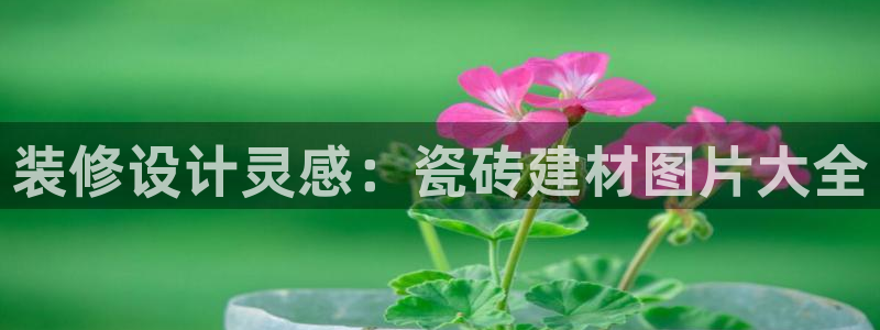 杏鑫娱乐怎么样