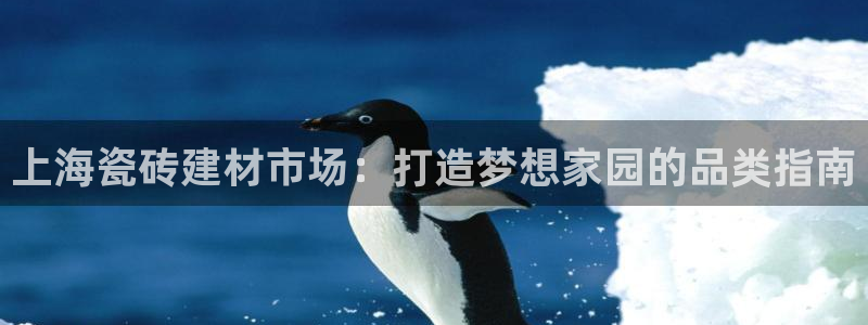 杏鑫平台代理怎么做