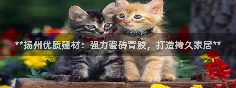 杏鑫平台是黑平台吗知乎