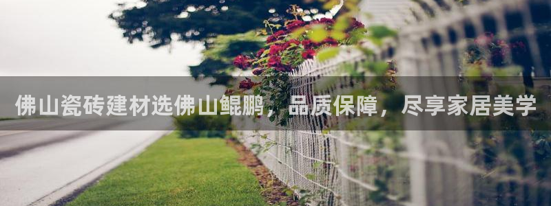 杏鑫平台平台