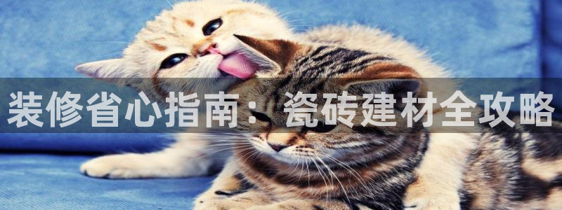 杏鑫娱乐是合法的吗?