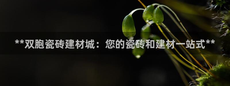 杏鑫平台代理怎么样赚钱
