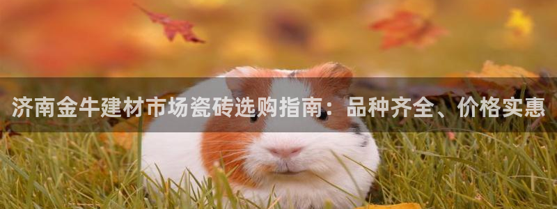 杏鑫平台代理