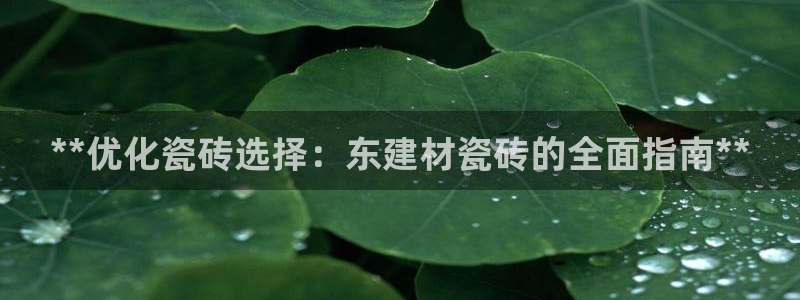 杏鑫平台正规吗可信吗