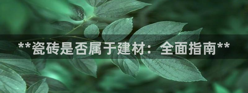 杏鑫平台招商怎么样