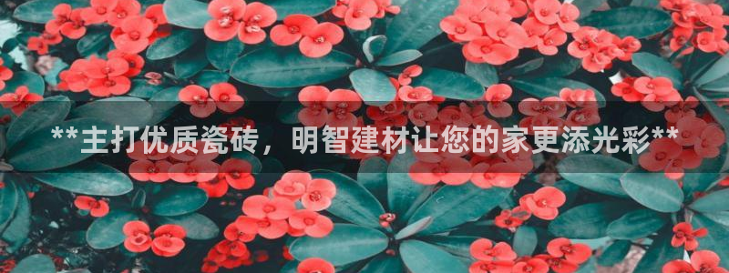 杏鑫平台代理怎么样赚钱