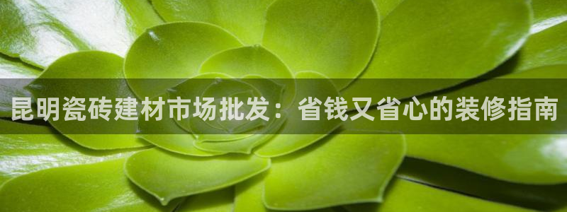 杏鑫平台招商电话