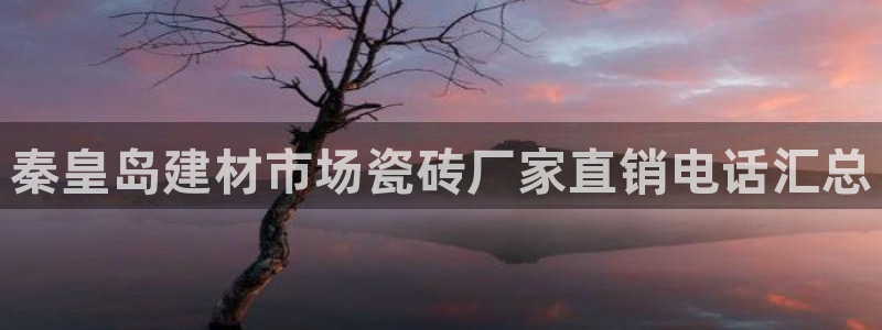 杏鑫娱乐是合法的吗?