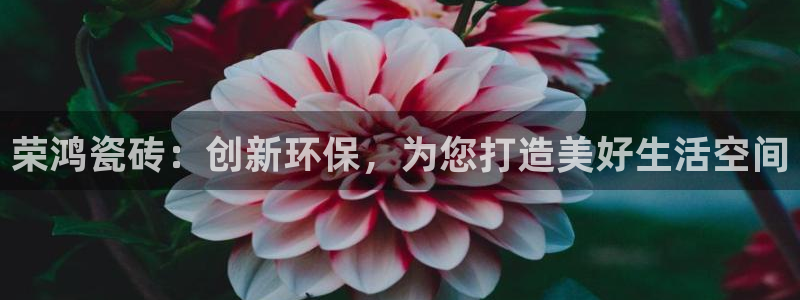 杏鑫平台广7O777