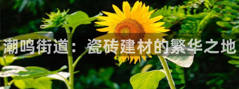 杏鑫平台怎么样黑钱吗是真的吗知乎