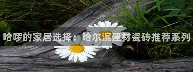 杏鑫娱乐怎么下