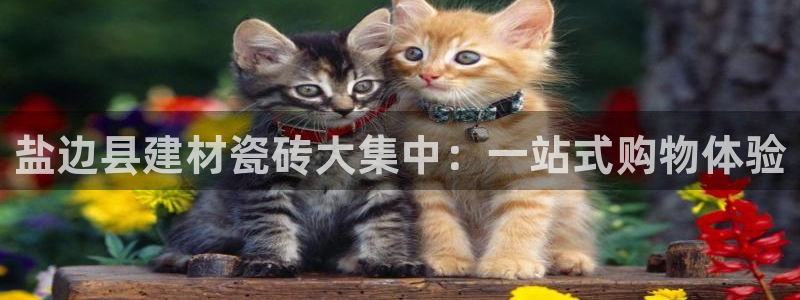 杏鑫平台广7O777