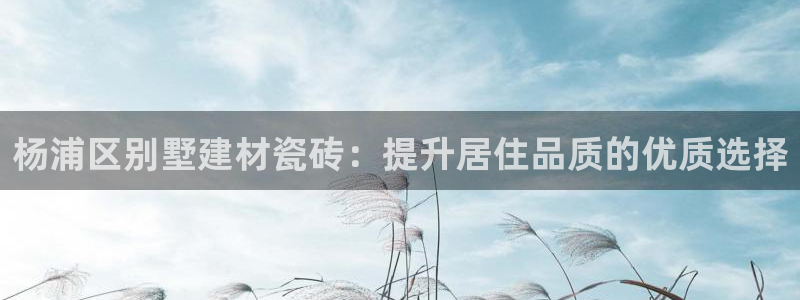 杏鑫官网最新信息