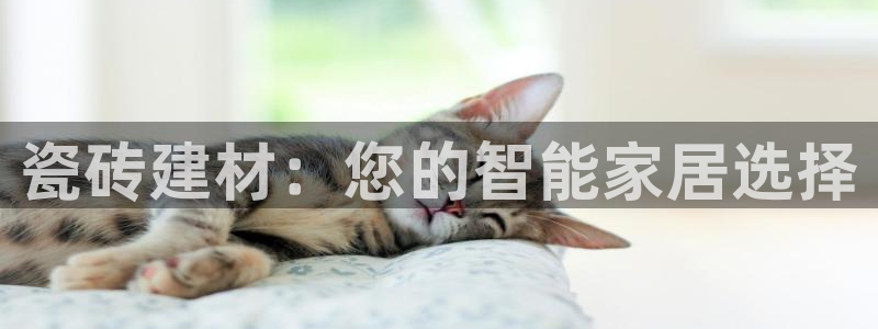 杏鑫平台怎么样黑钱吗知乎推荐